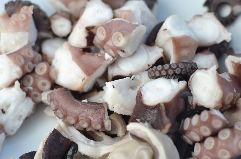 Oktopus